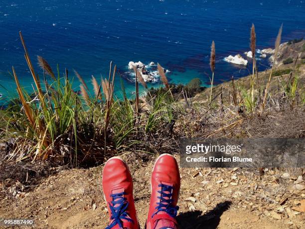 blue ocean, blue laces - blume stock pictures, royalty-free photos & images
