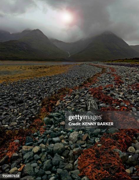 black cuillins,red seaweed - cuillins stockfoto's en -beelden