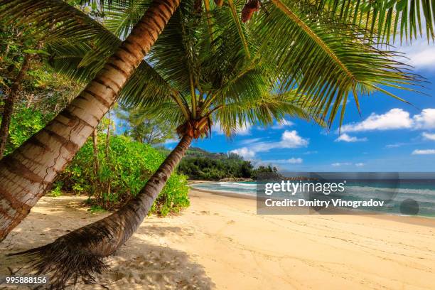 paradise beach - paradise beach stock pictures, royalty-free photos & images