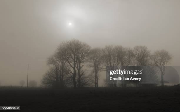 winters morning - avery stock pictures, royalty-free photos & images