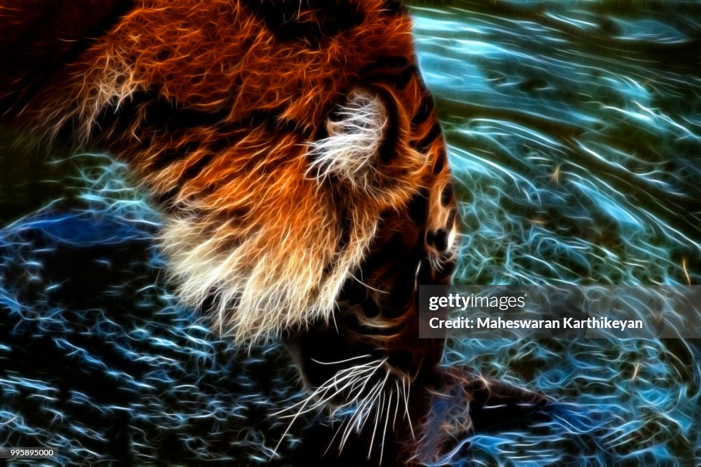 Glowing Tiger