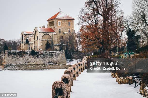winter in tata - tata hungary stock pictures, royalty-free photos & images