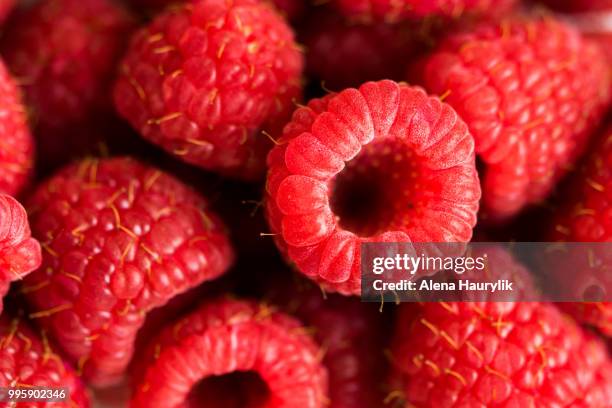 Macro Raspberry Raspberries Macro Photos and Premium High Res Pictures - Getty Images