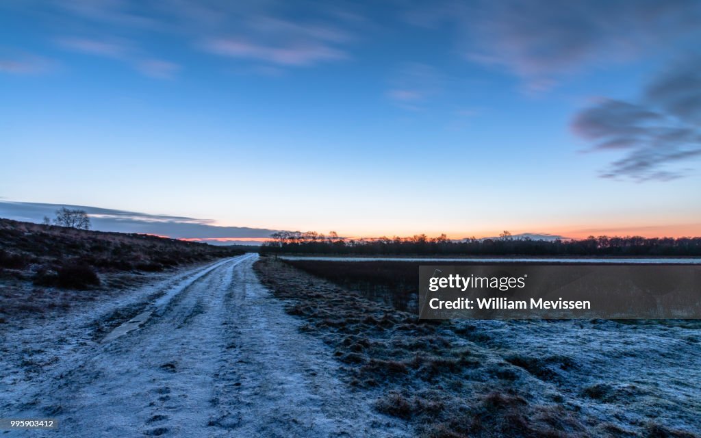 Winter Dirt Road
