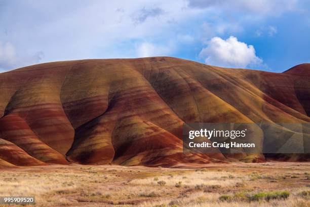 painted hills - fossil site stockfoto's en -beelden