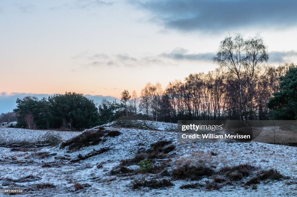 A Touch Of Winter