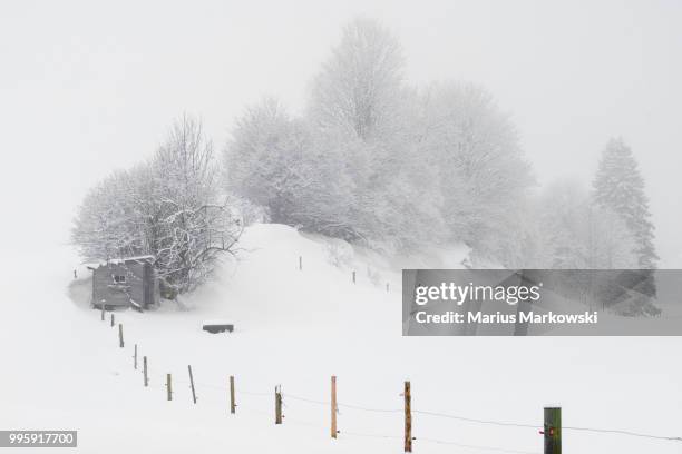 schnee trachslau - schnee stock pictures, royalty-free photos & images