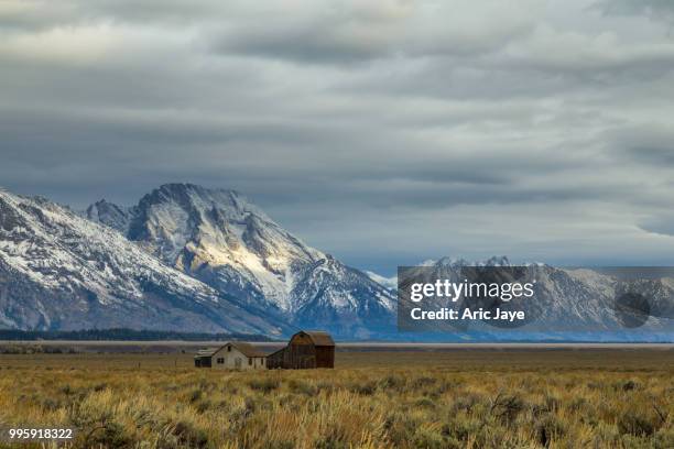 grand tetons sun spot - jaye stock pictures, royalty-free photos & images