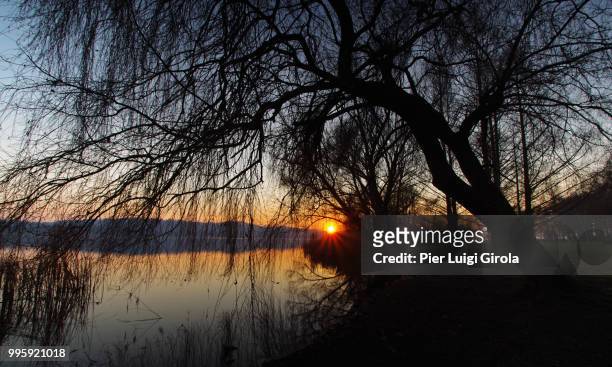sunset through the branches / tramonto tra i rami - tramonto stock pictures, royalty-free photos & images