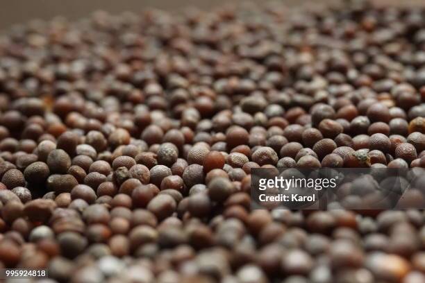 black mustard seeds - betelpalme stock-fotos und bilder