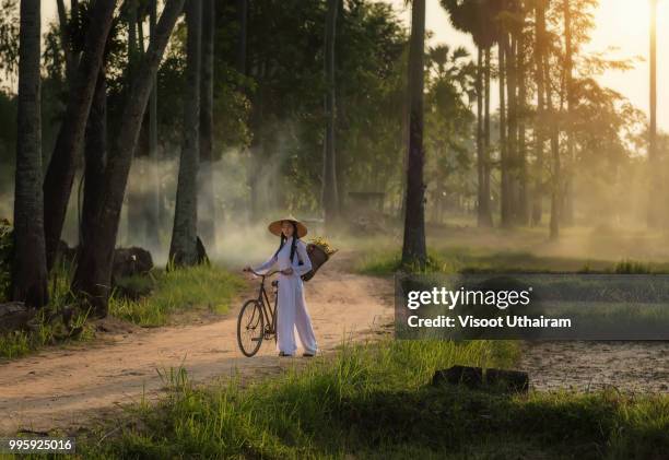 woman wearing a vietnamese dress ao dai are ride on a bicycle along the road in a village - ao stock pictures, royalty-free photos & images