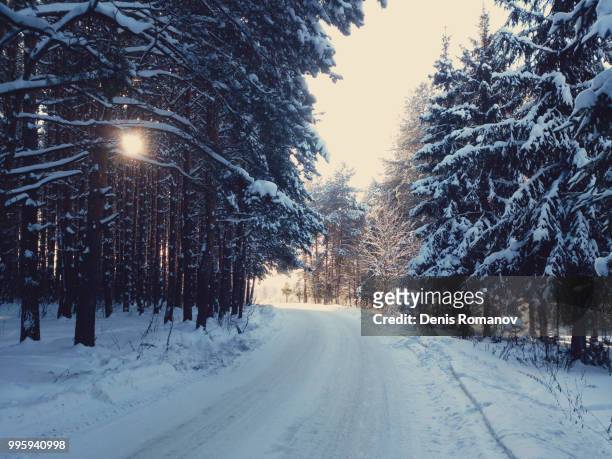 winter road - romanov stock pictures, royalty-free photos & images