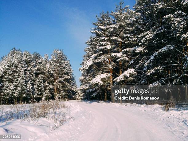 winter tale - romanov stock pictures, royalty-free photos & images