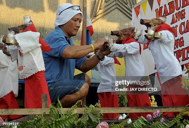 Worker dresses roasted pigs in costumes which will be paraded through the La Loma district of Manila on May 16 as part of an annual festival. Roast...