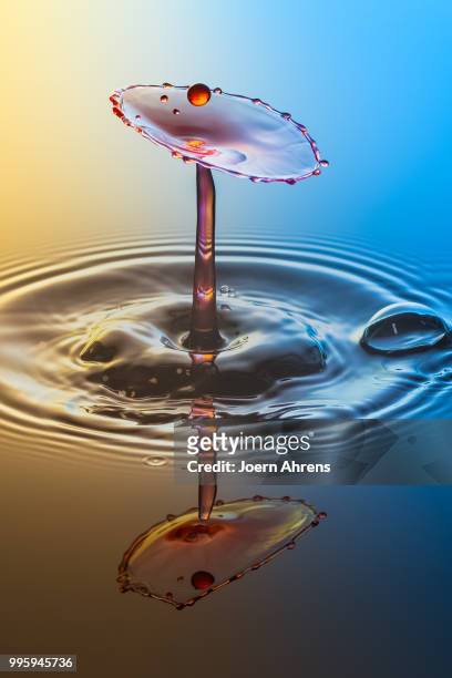 drop-on-drop (tat) - ahrens stock pictures, royalty-free photos & images