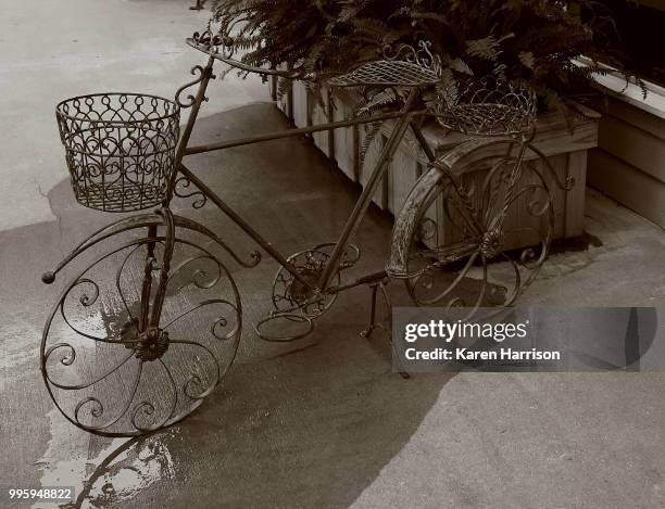manteo bike planter - harrison wood stock pictures, royalty-free photos & images