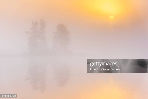 sun versus fog - versus stock pictures, royalty-free photos & images