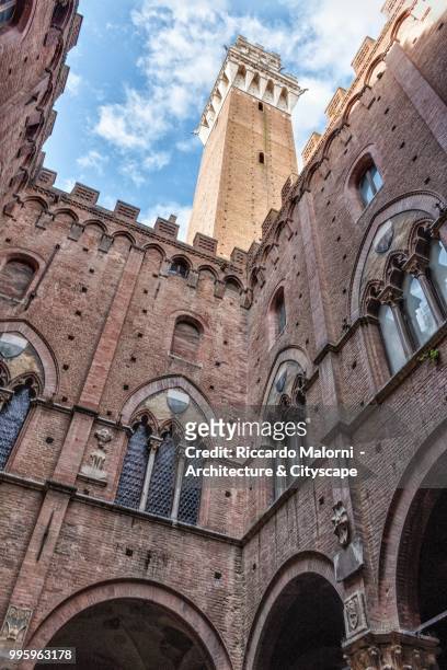 la torre del mangia - torre del mangia stock pictures, royalty-free photos & images