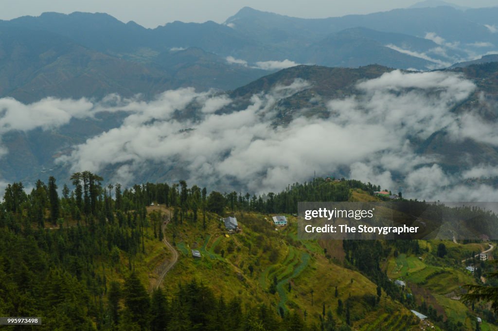 Kufri, Himachal Pradesh