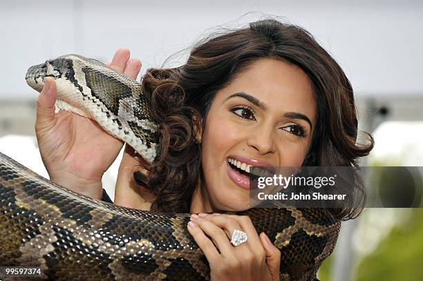 Actress Mallika Sherawat attends the 'Hisss' Photo Call held at the Hotel Majestic during the 63rd Annual International Cannes Film Festival on May...