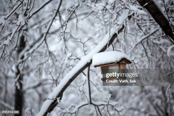 winter 2016 - woburn, ma - sok stock pictures, royalty-free photos & images