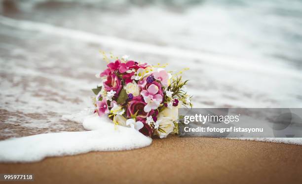 bouquet - fotograf stock pictures, royalty-free photos & images