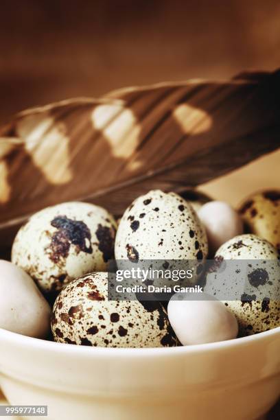 food easter background with quail eggs - nutshell stock pictures, royalty-free photos & images