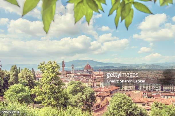 view of florence framed by leaves - off the beaten path foto e immagini stock