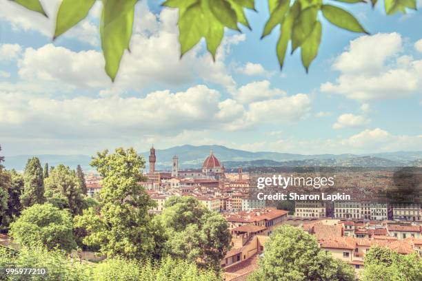 view of florence framed by leaves - off the beaten path stock pictures, royalty-free photos & images