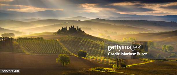 orcia dream - orcia valley foto e immagini stock