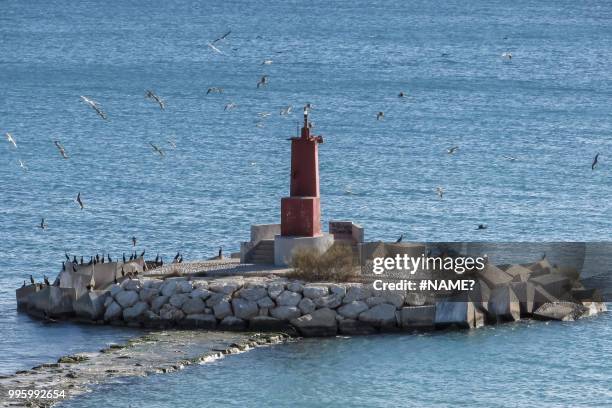 gaviotas en casa - en casa stock pictures, royalty-free photos & images