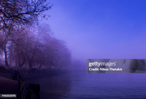 foggy lake - nikos stockfoto's en -beelden