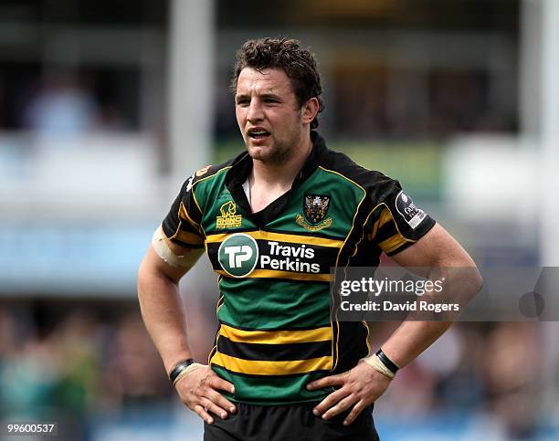 Phil Dowson of Northampton looks on during the Guinness Premiership semi final match between Northampton Saints and Saracens at Franklin's Gardens on...