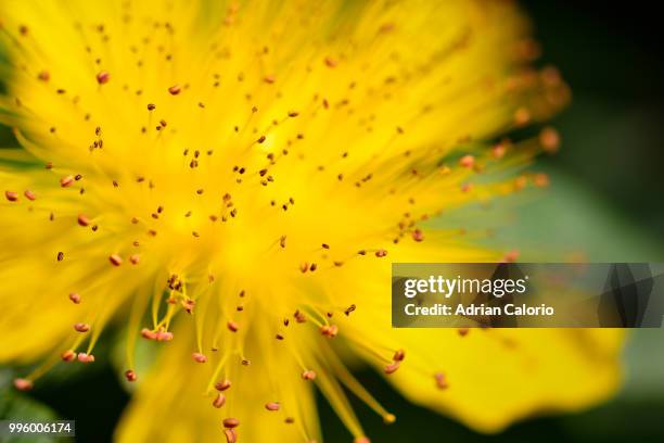 the big bang - the big bang stock pictures, royalty-free photos & images