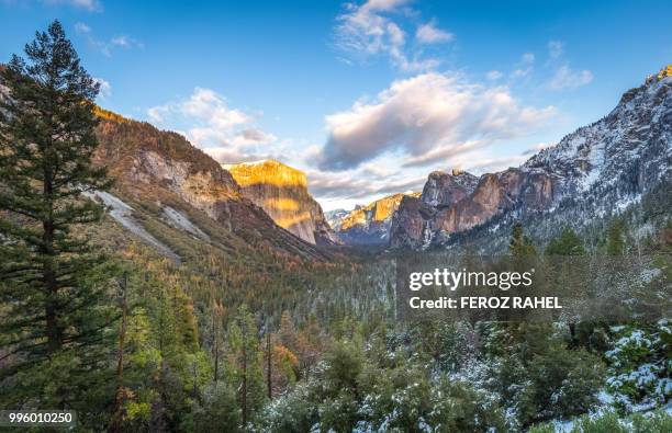 tunnel view of el capitan - feroz stockfoto's en -beelden