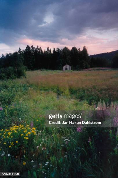 old barn on field during summer night in swedish norrbotten - midsummer sweden stock-fotos und bilder