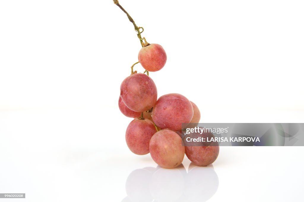 Glowing ripe berries of red grapes