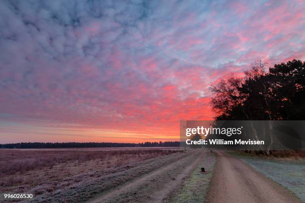 frosty red twiligth - william mevissen fotografías e imágenes de stock