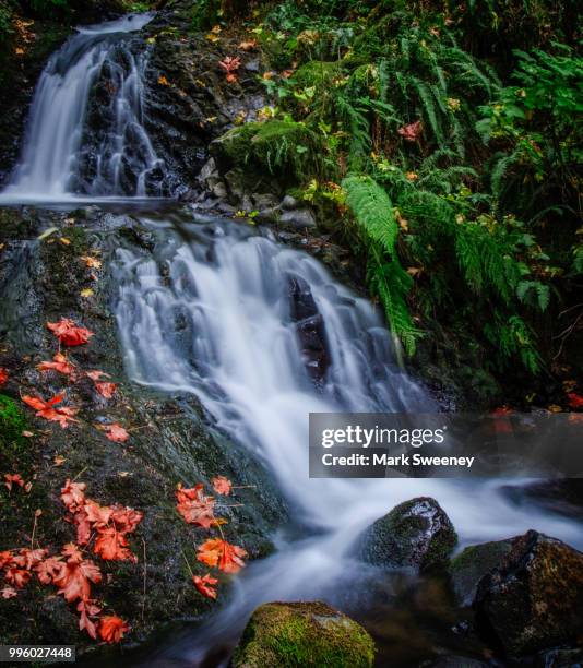 little falls in the columbia river gorge - little falls stock pictures, royalty-free photos & images