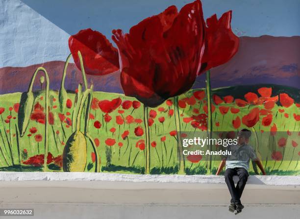 Child is seen in front of a painted wall which painted by painters on the purpose of the reflecting Van's natural beauties in Van, Turkey on July 11,...