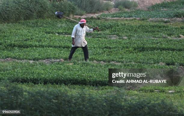 Picture taken on July 6, 2018 shows an Iraqi farmer working at his field near the Kut Dam, southeast of the capital Baghdad.