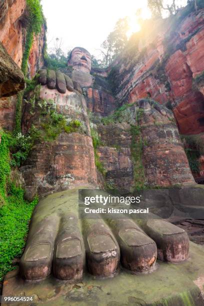 giant buddha of leshan in sichuan province , china , the world's largest statue of buddha - giant stone heads stock pictures, royalty-free photos & images