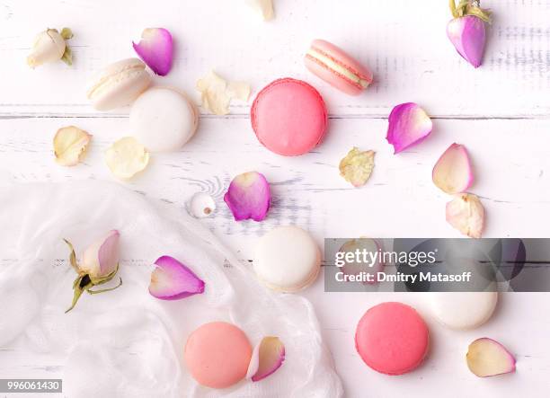 macarons - animal internal organ stockfoto's en -beelden