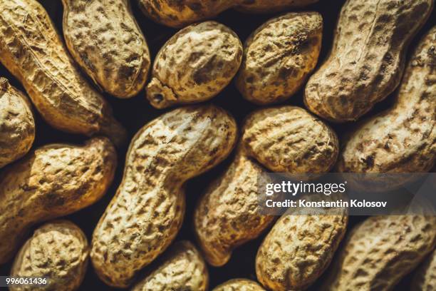 fresh peanuts in shell - nutshell stock pictures, royalty-free photos & images