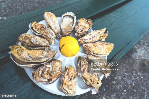 a dozen oysters on a plastic plate - plastic plate fotografías e imágenes de stock