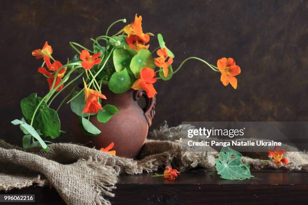 nasturtium bouquet, ceramic jug and burlap - nasturtium fotografías e imágenes de stock