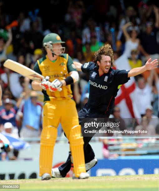 Robin Sidebottom 6,238 Sidebottom Stock Photos, High-Res Pictures, and Images - Getty Images