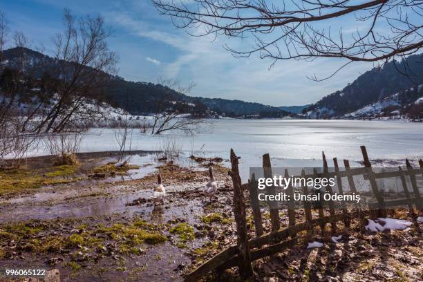 winter tale-3 - rail fence stock pictures, royalty-free photos & images