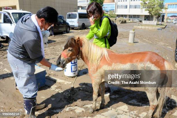 Mari Tanimoto sheds tear with joy as she reunites miniature Horse 'Reef' for the first time in three days as the horse went missing by floodwaters,...