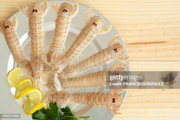 uncooked seafood platter garnished - seafood platter stock pictures, royalty-free photos & images